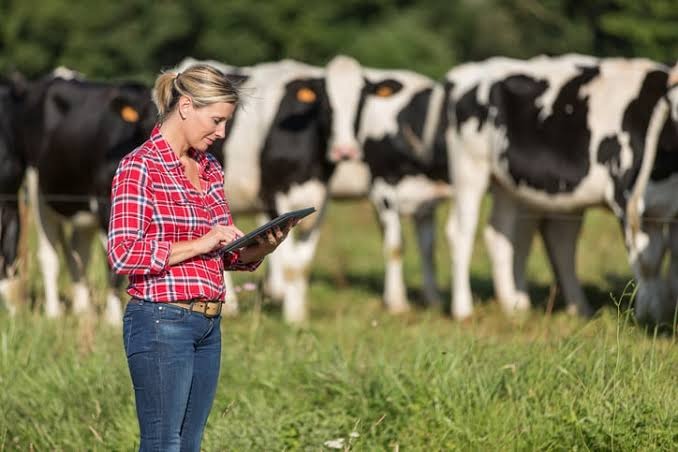 SKILLED FARM WORKERS: THE HIDDEN KEY TO PROFITABLE RUMINANT FARMING